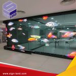 Transparent Screen Led in Oman